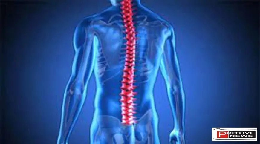 Spinal Cord Hindi इन पांच कारणों से बढ जाती है स्पाइनल कॉर्ड में चोट की आशंका