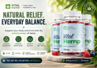 Vital Hemp Gummies: Unlock Better Sleep and Relaxation Instantly